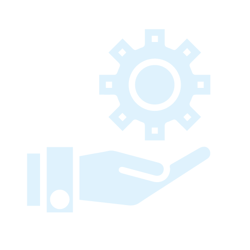 Customization Services