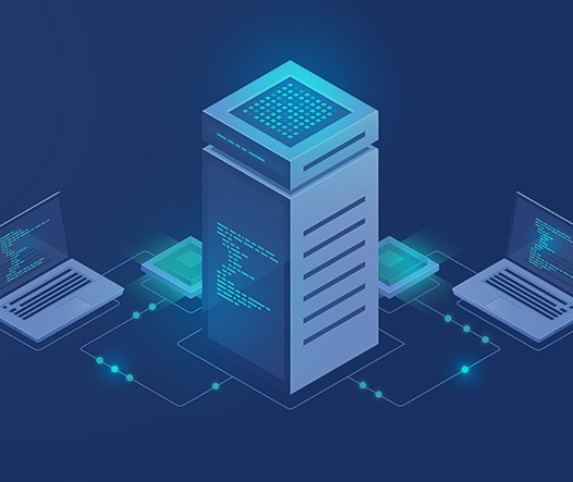 Database Management Services