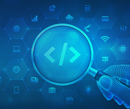 .NET Development Services